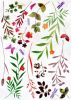 Palms & Flowers - Large Wall Decals Stickers Appliques Home Decor