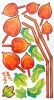 Harvest Time - Wall Decals Stickers Appliques Home Decor