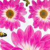 Delightful Petals - Wall Decals Stickers Appliques Home Decor