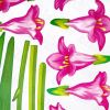 Gorgeous Flowers - Wall Decals Stickers Appliques Home Decor