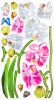 Aromatic Flowers - Wall Decals Stickers Appliques Home Decor