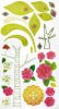 Bright Flowers - Wall Decals Stickers Appliques Home Decor