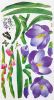 Flowering Garden - Wall Decals Stickers Appliques Home Decor